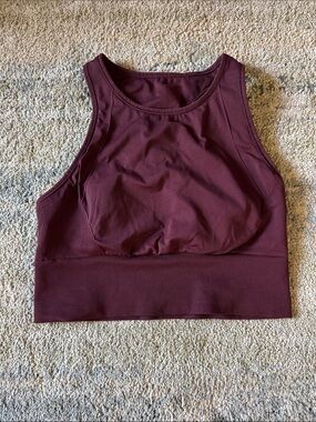 Lululemon High Neck Maroon Sports Bra Top Size 6
